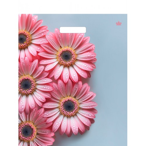 Пакет ламинированный с вырубной ручкой 450*380*60  Герберы Шанис цена за 50шт!